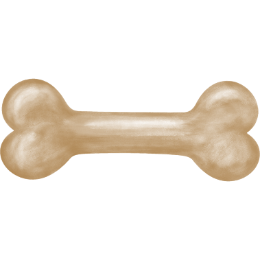Kauknochen