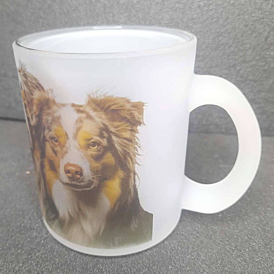 Glastasse Australian Shepherd