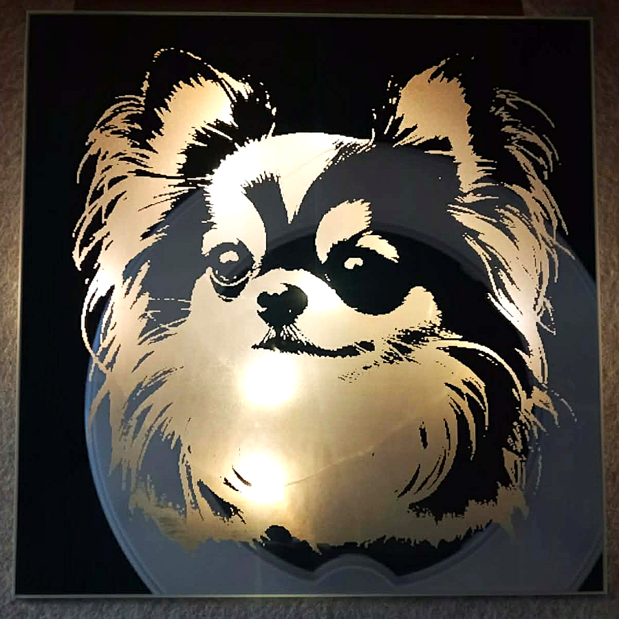 Spiegelfliese ca. 20 x 20 cm Chihuahua