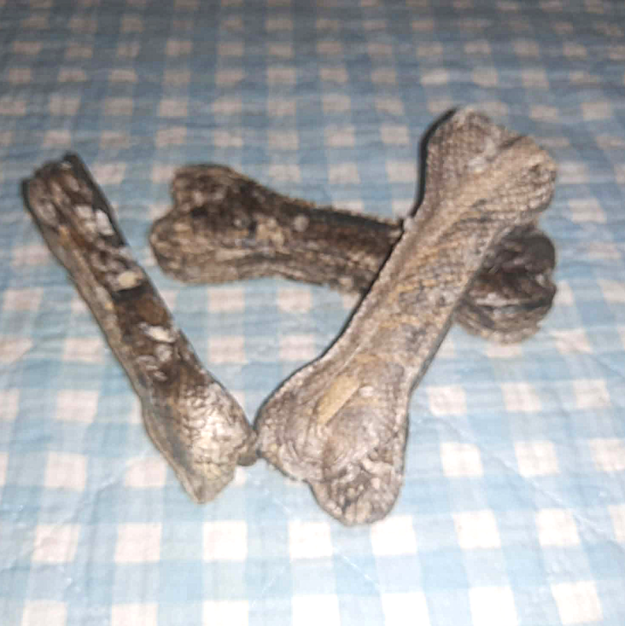 Knochen aus Dorschhaut