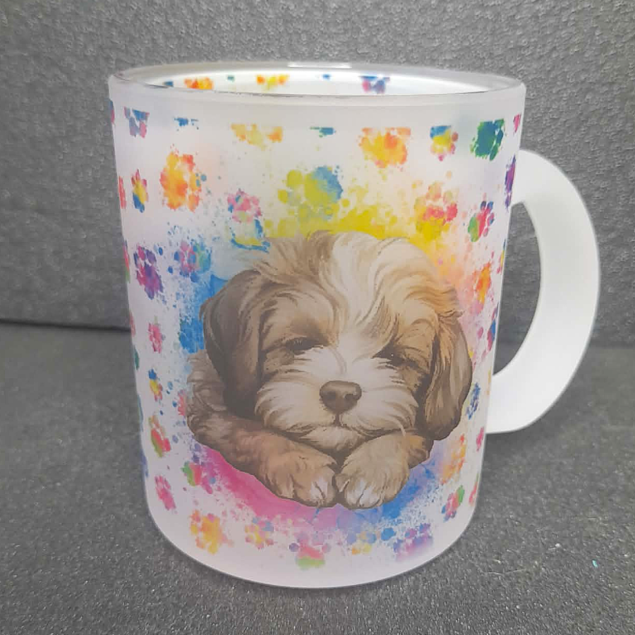 Glastasse Shih Tzu Welpe