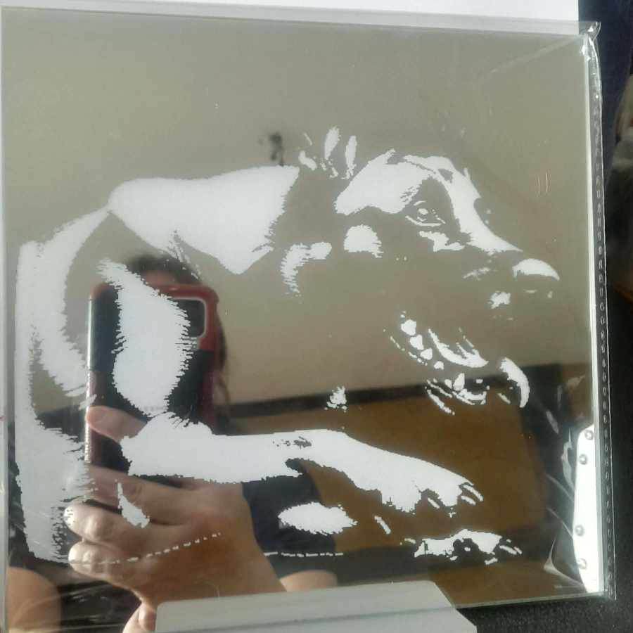 Spiegelfliese ca. 20 x  cm Malinois springend