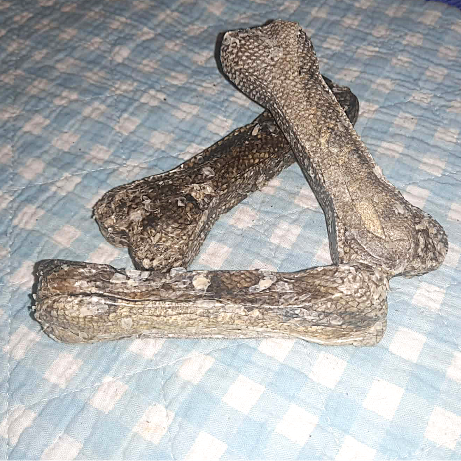 Knochen aus Dorschhaut