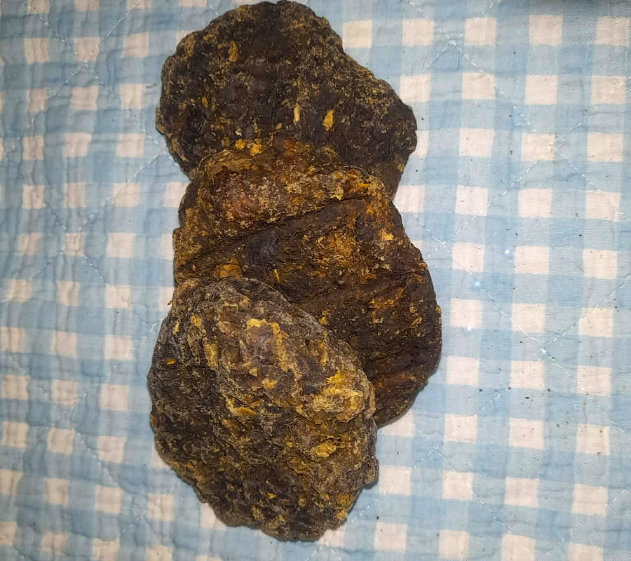 Blättermagenpflanzerl