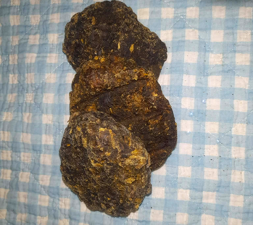 Blättermagenpflanzerl