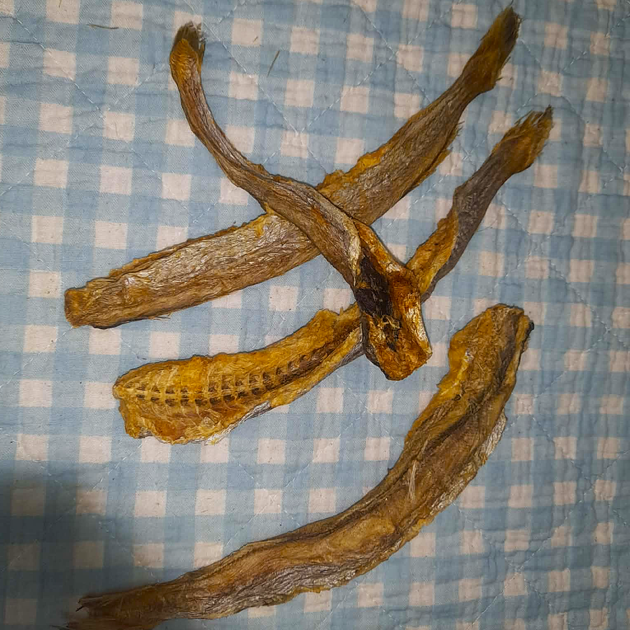 Blue Whiting