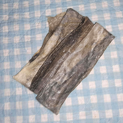 Dorschhaut flach