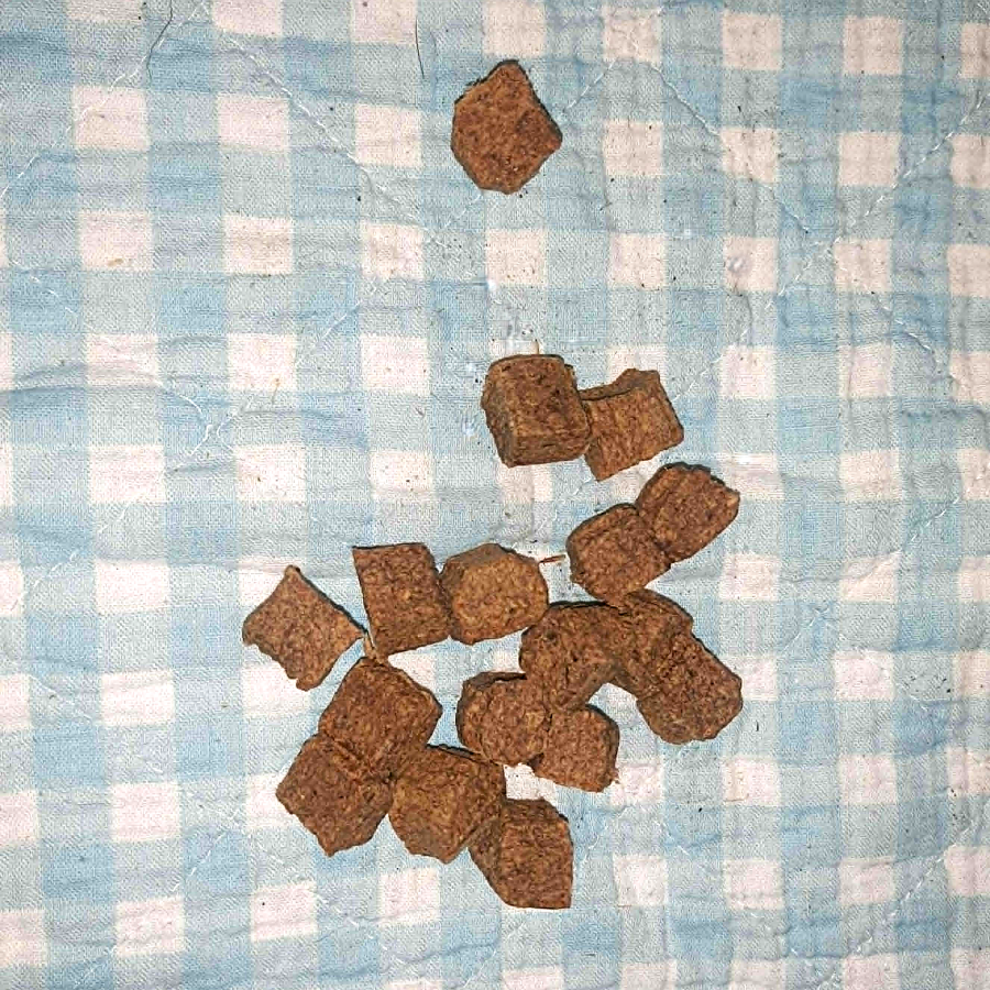 Entenfleisch Würfelhappen