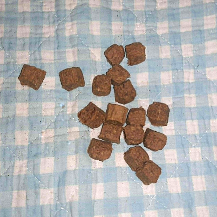 Entenfleisch Würfelhappen