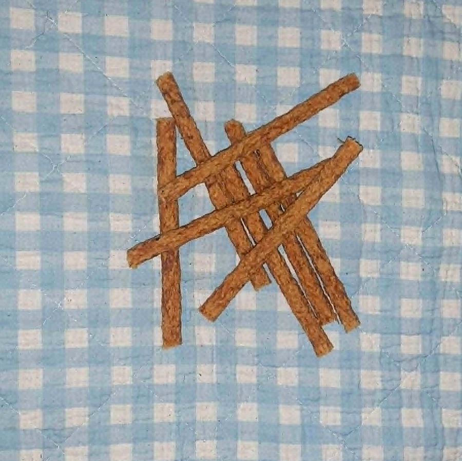 Gänsefleisch Sticks