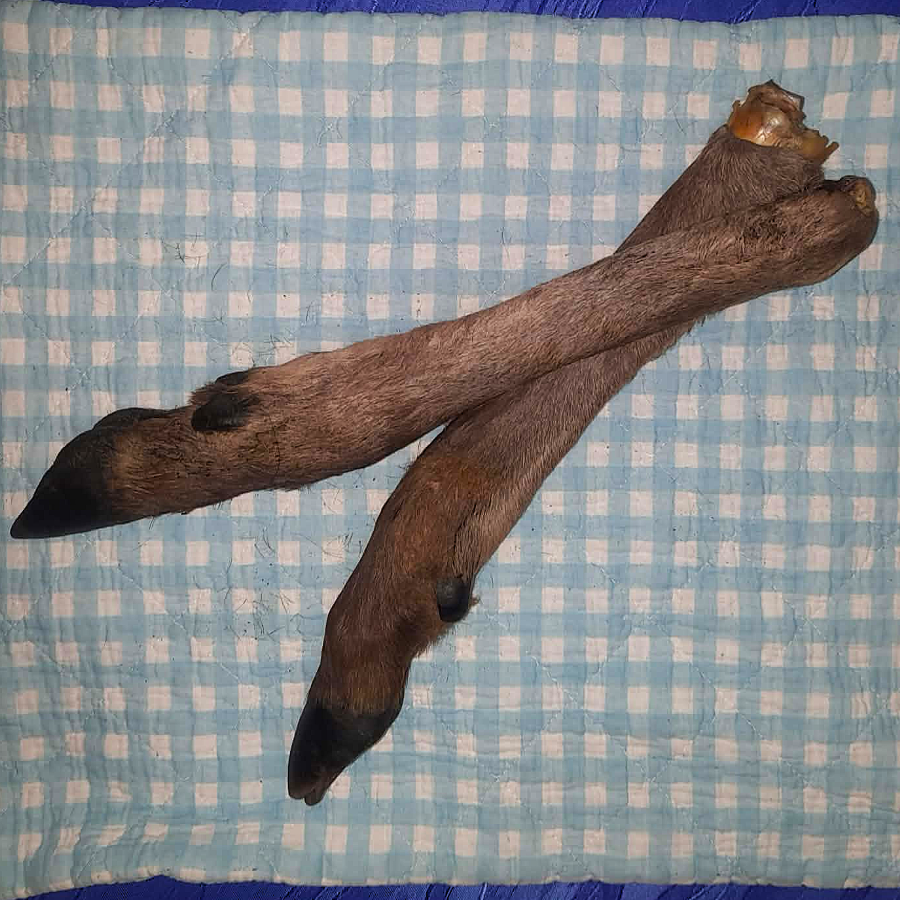 Hirschbein mit Fell