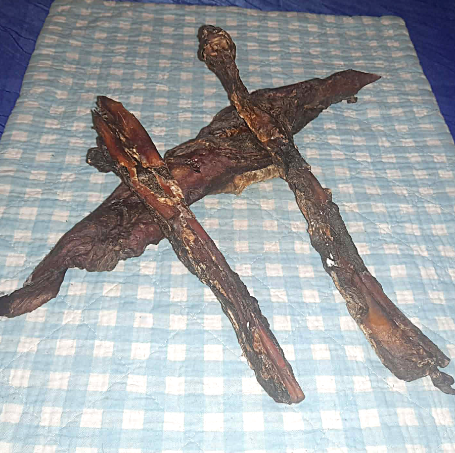 Nackensehnen vom Hirsch