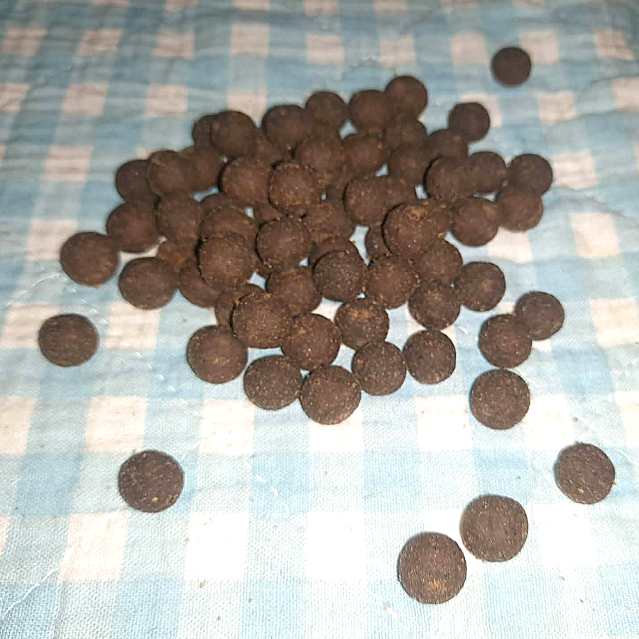 Softtraum Insekten