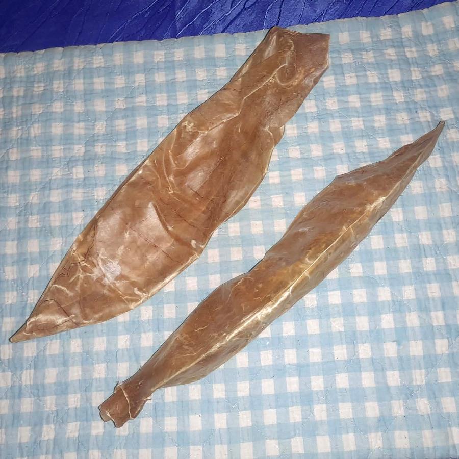 Kälber Blase