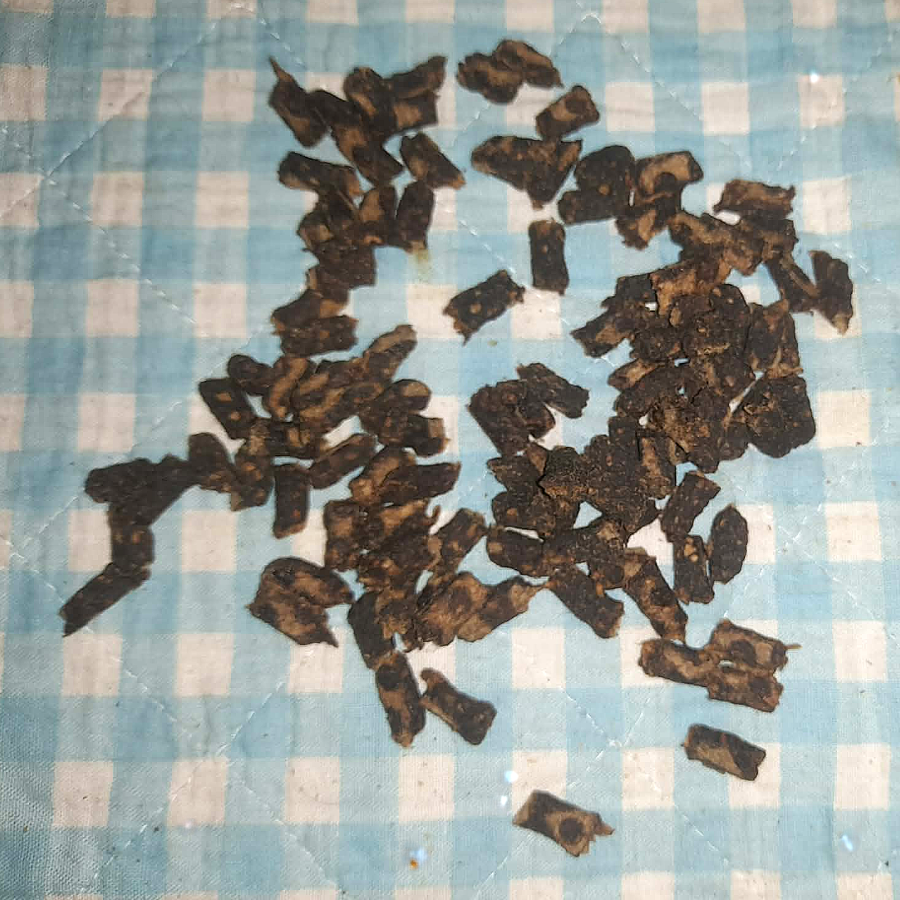 Kaninchen Minis (leicht soft)
