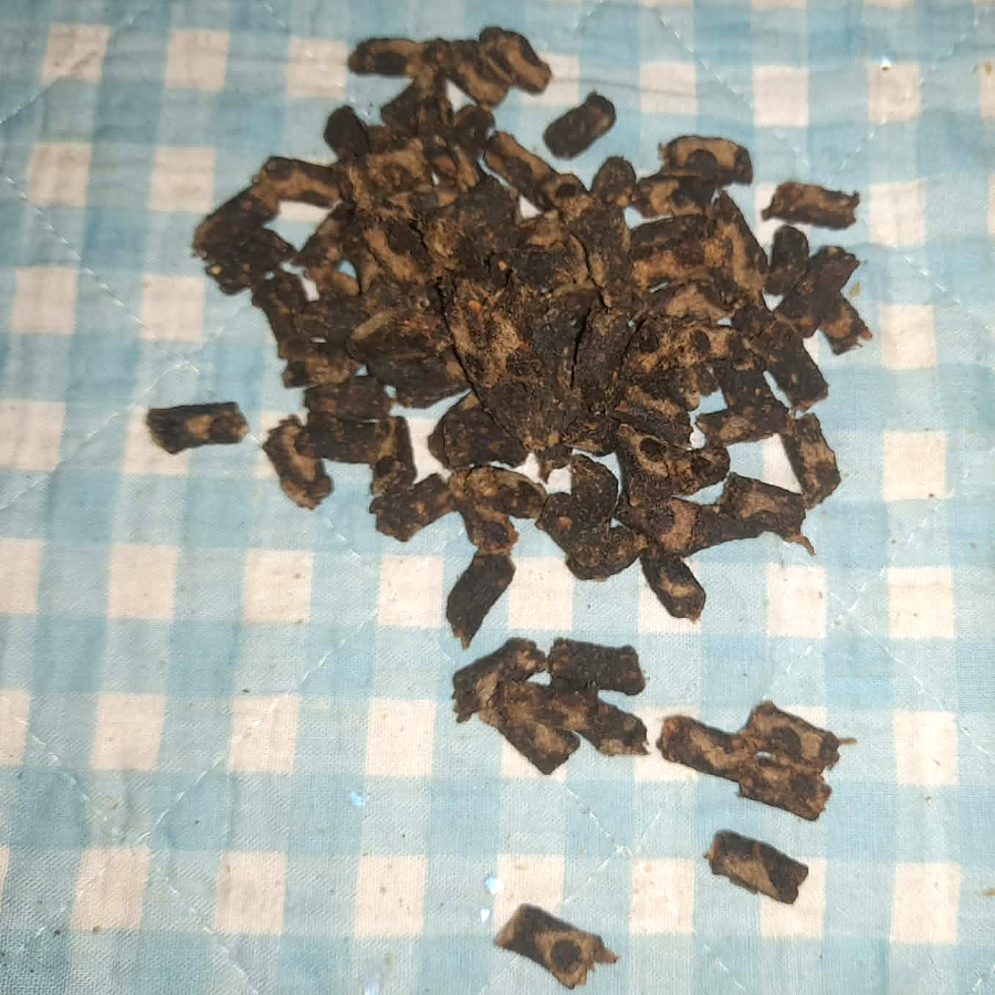 Kaninchen Minis (leicht soft)