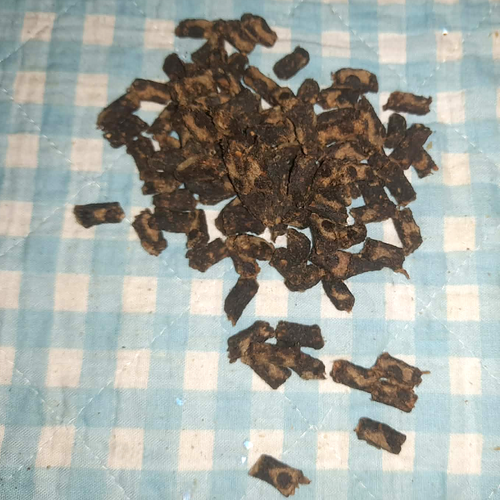 Kaninchen Minis (leicht soft)