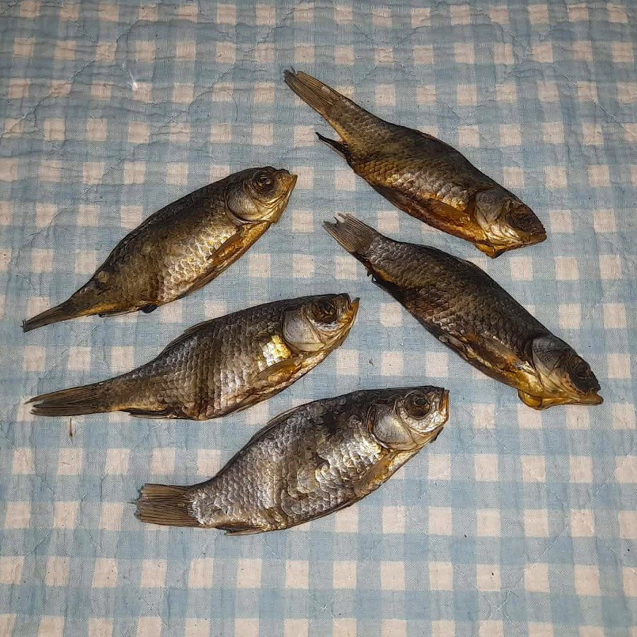 Karausche
