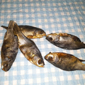 Karausche