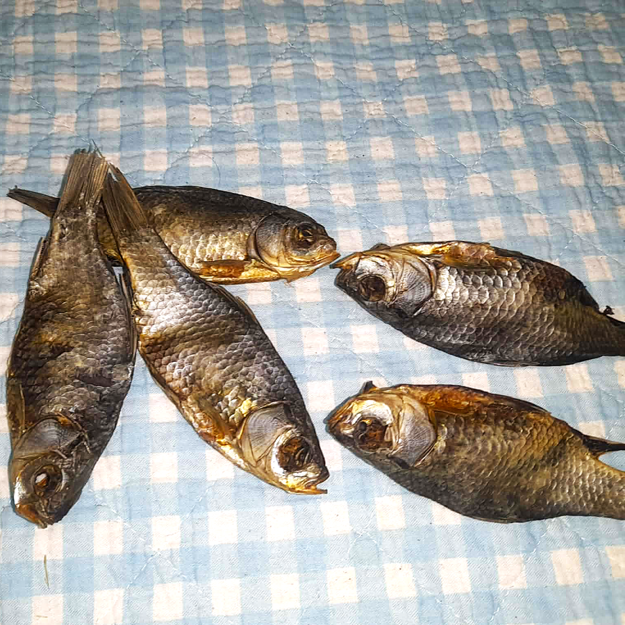 Karausche