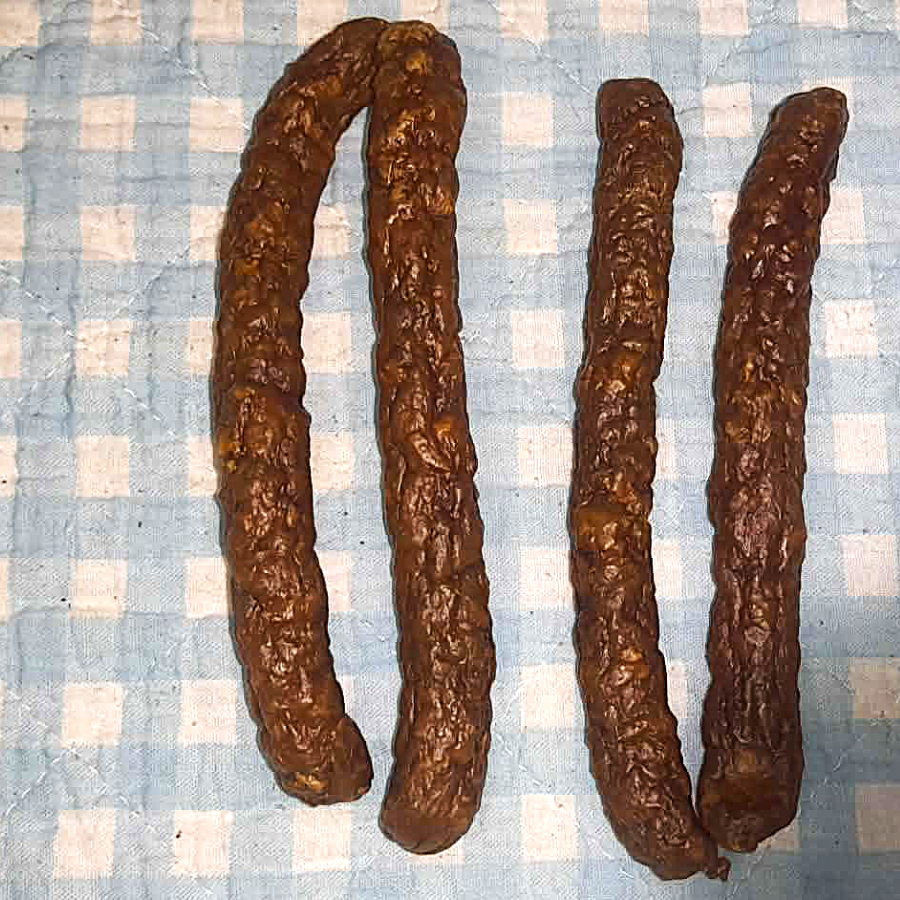 Knabbernossi Kaninchen
