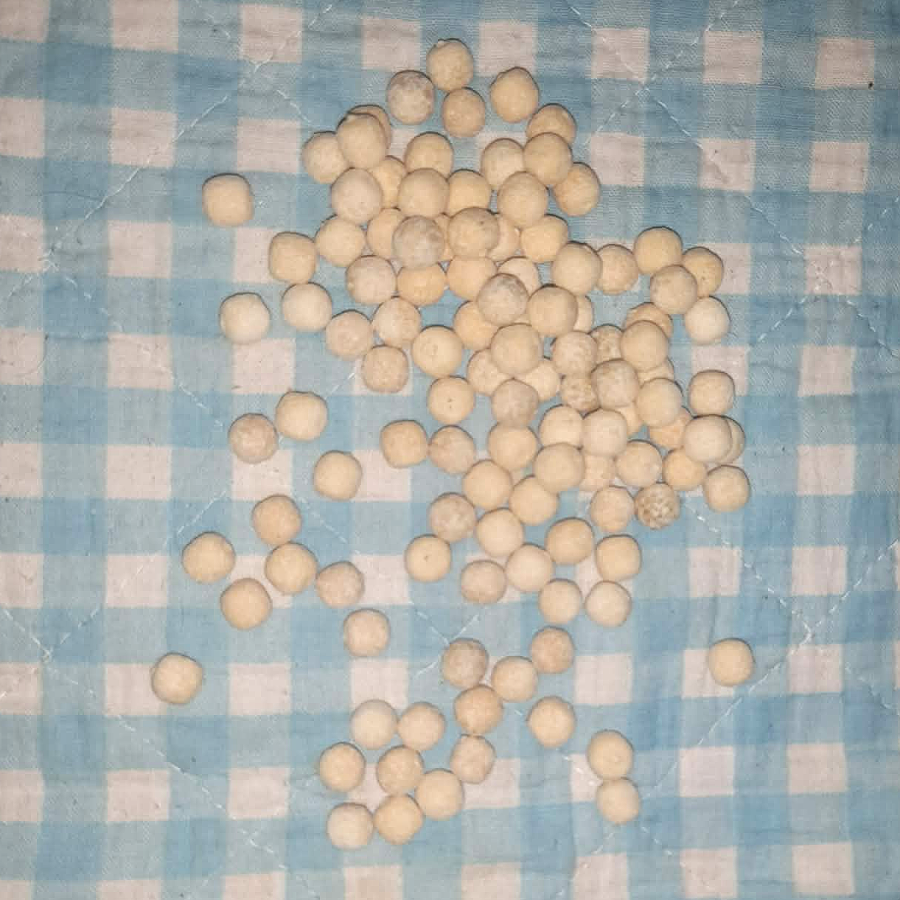 Kokosbeisser