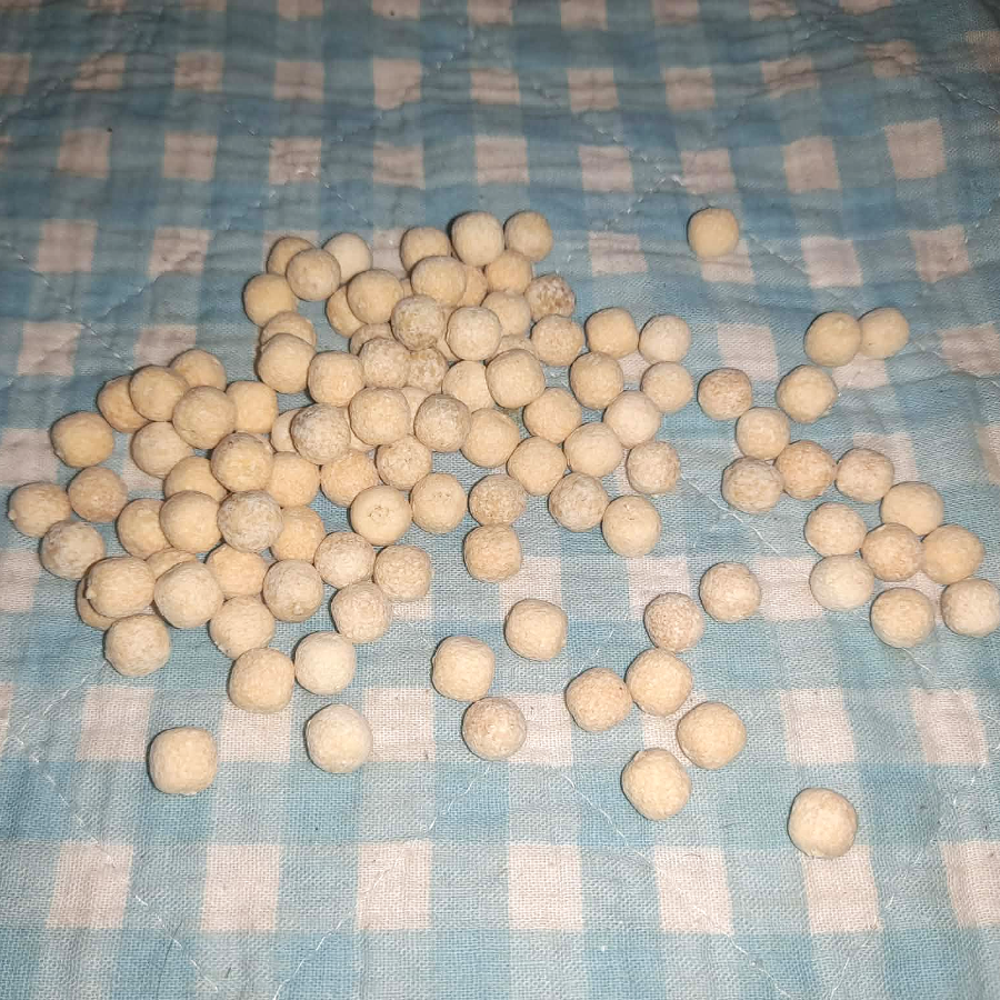 Kokosbeisser