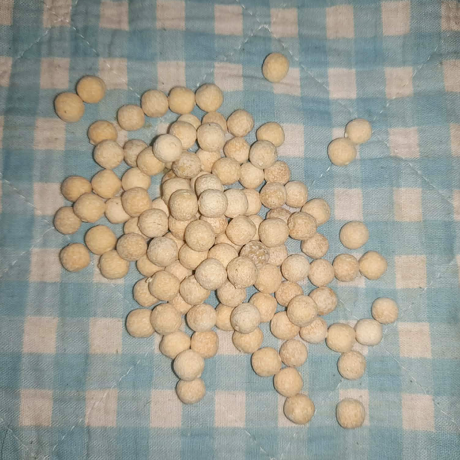 Kokosbeisser