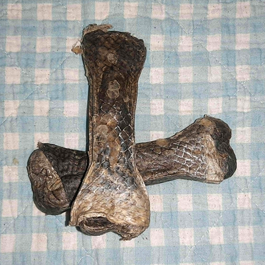 Kauknochen Lachshaut