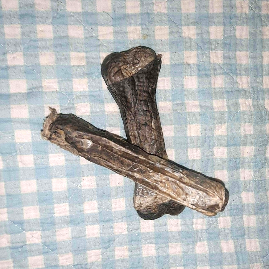 Kauknochen Lachshaut