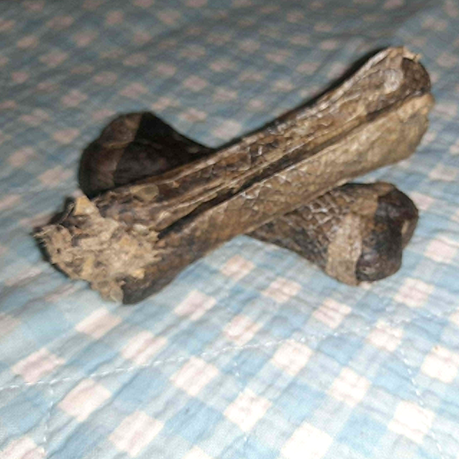 Kauknochen Lachshaut