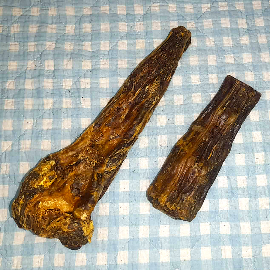 Pferdeschweifrübe