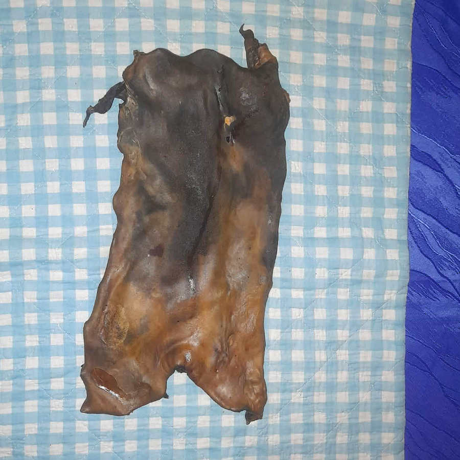 Pferdehautplatten einzeln