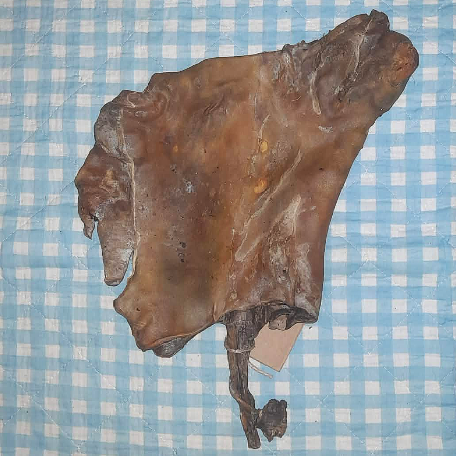 Pferdehautplatten einzeln