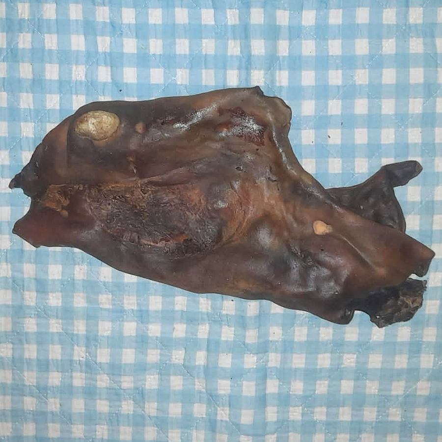 Pferdehautplatten einzeln