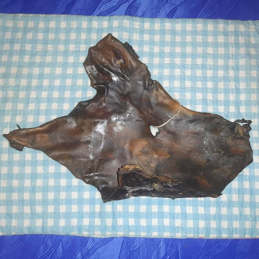 Pferdehautplatten einzeln