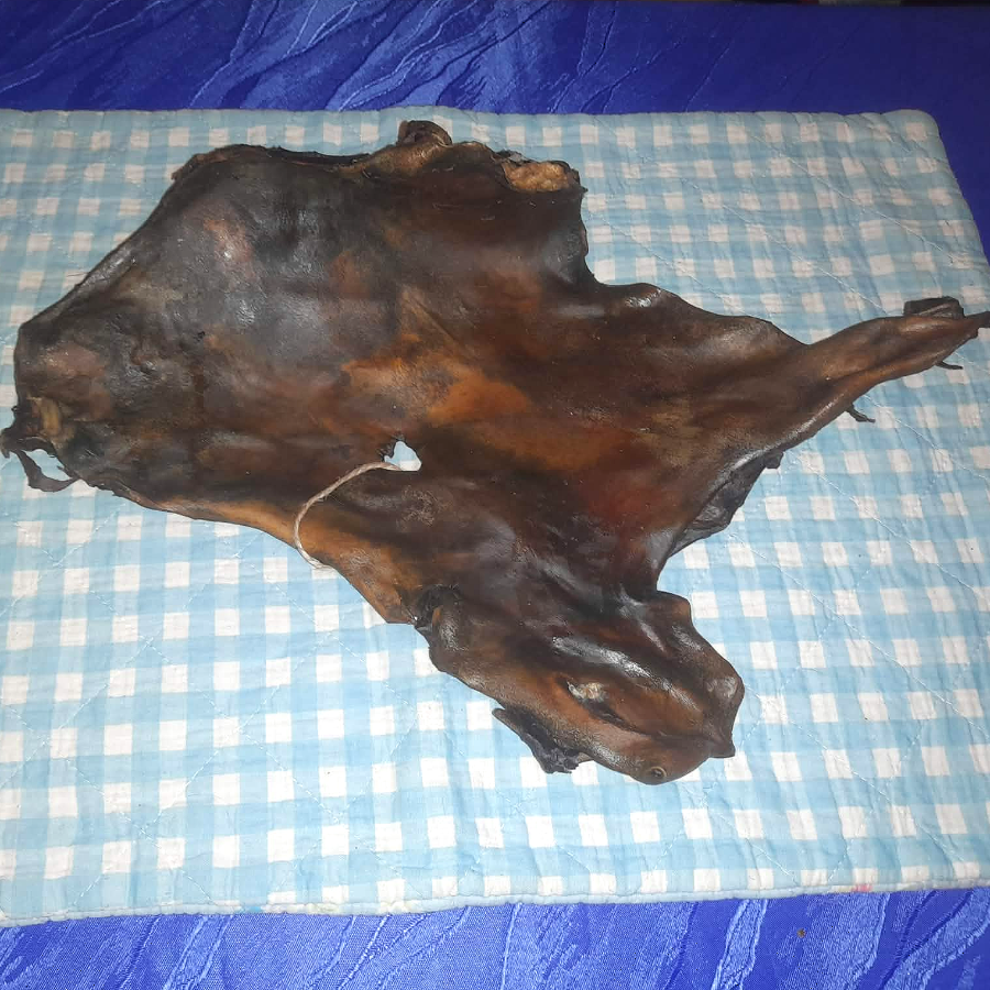 Pferdehautplatten einzeln