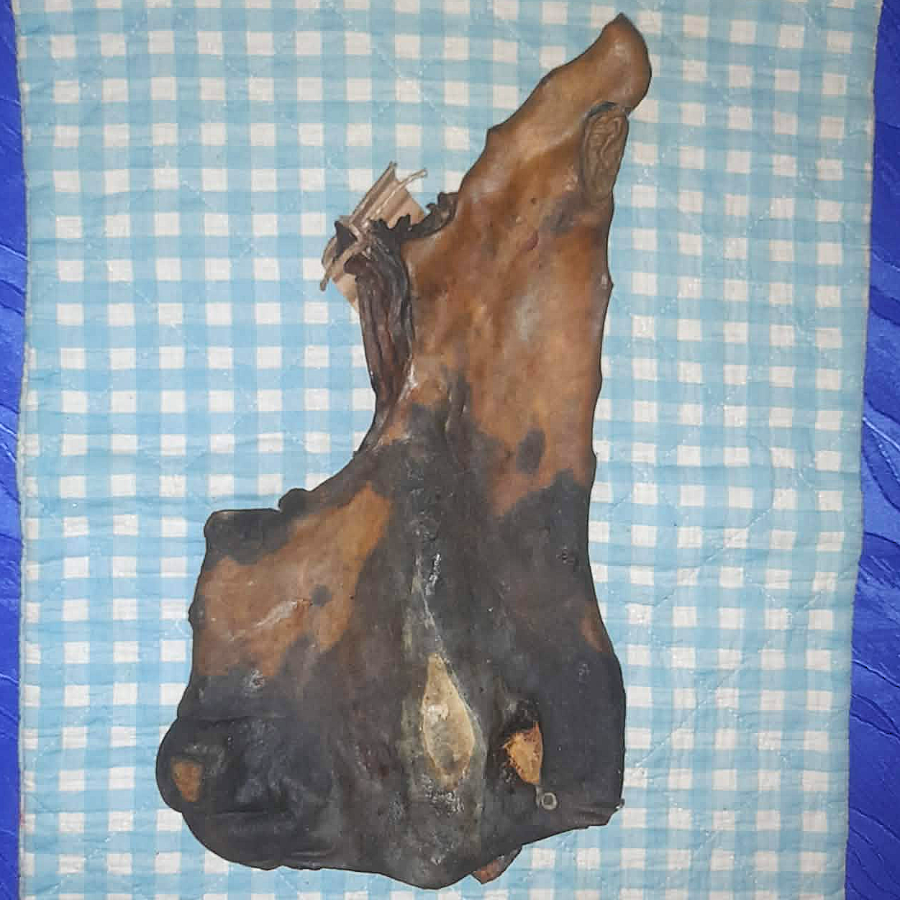 Pferdehautplatten einzeln