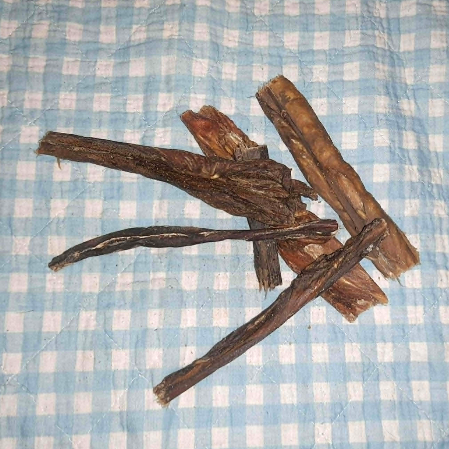 Pferdemagen