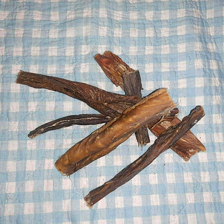 Pferdemagen