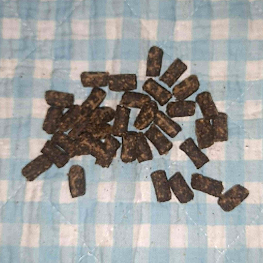 Putenfleisch Minis