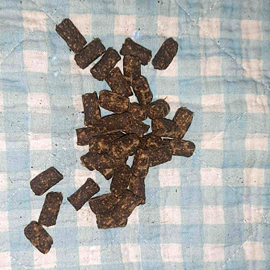 Putenfleisch Minis
