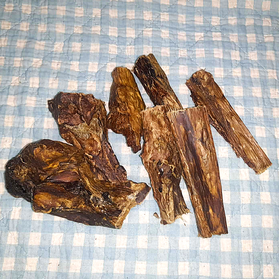 Pferdelunge
