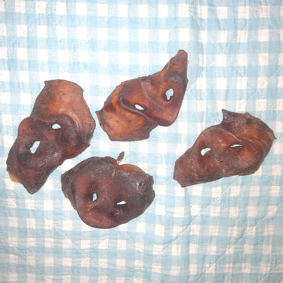 Schweinenasen