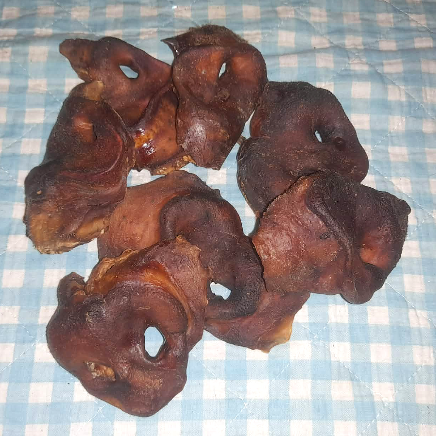 Schweinenasen