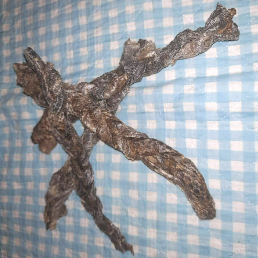 Straußenhaut geflochten ca. 15 cm