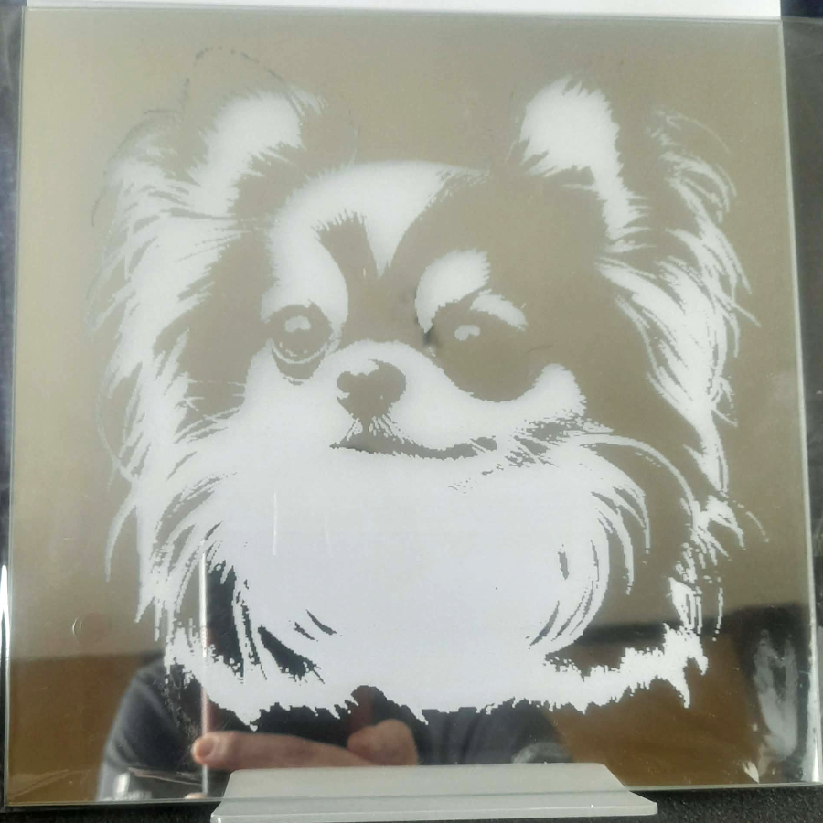 Spiegelfliese ca. 20 x 20 cm Chihuahua