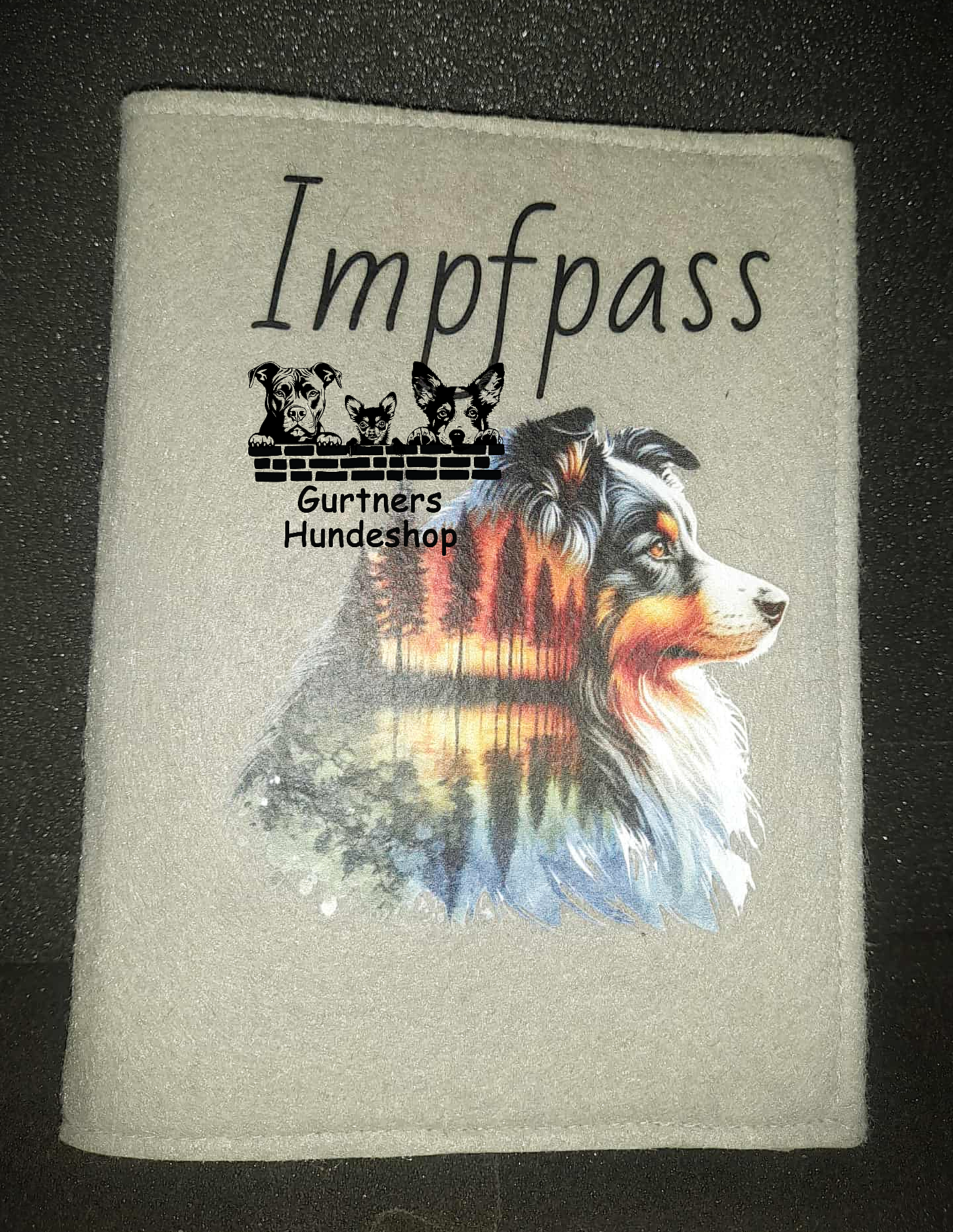 Impfpasshülle Umschlag in Hellgrau