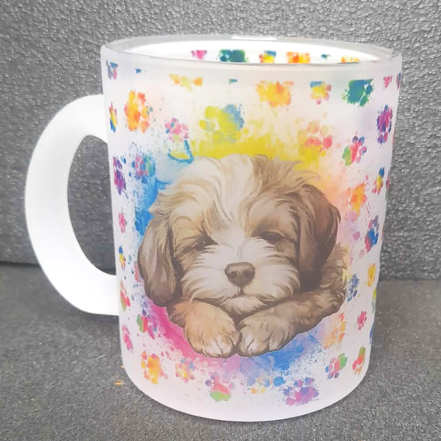 Glastasse Shih Tzu Welpe